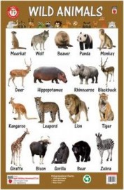 Small Wild Animals Chart